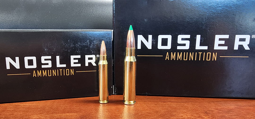 Nosler 223 and 308 cartridge