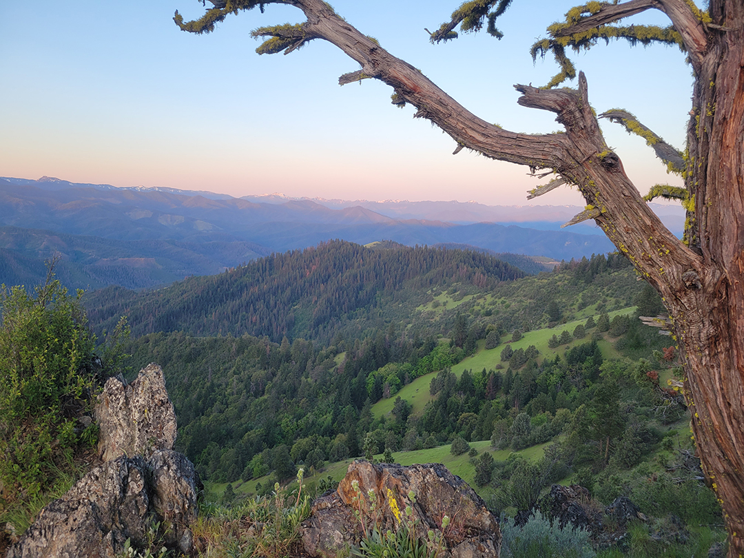 Oregon Bear hunting landscape