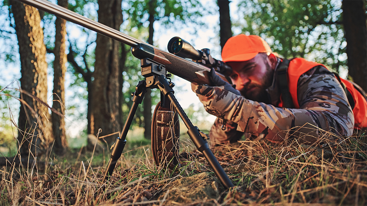 Remington 700 with Warne bipod