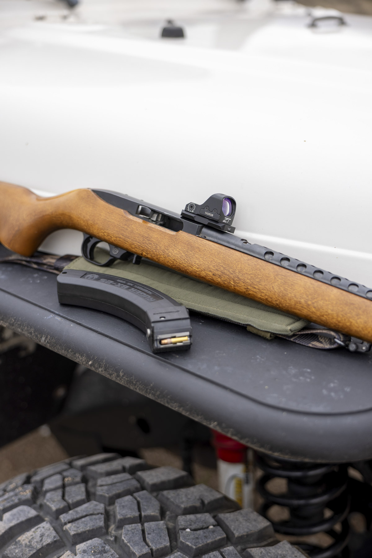 Warne Receiver Red Dot Mount on 10-22