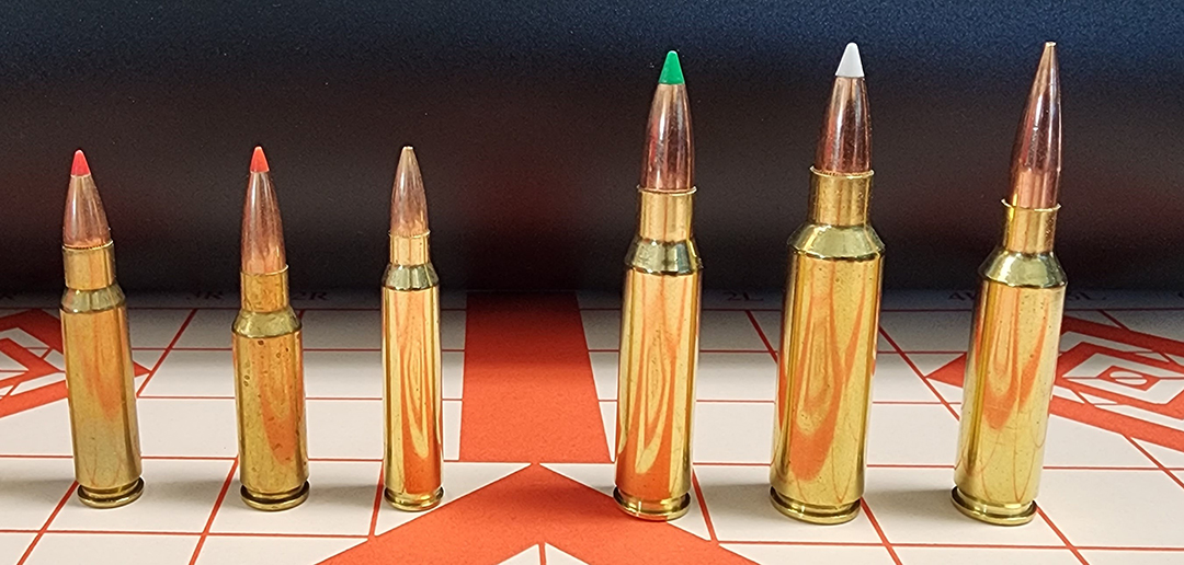 popular ar15 ar10 hunting cartridges
