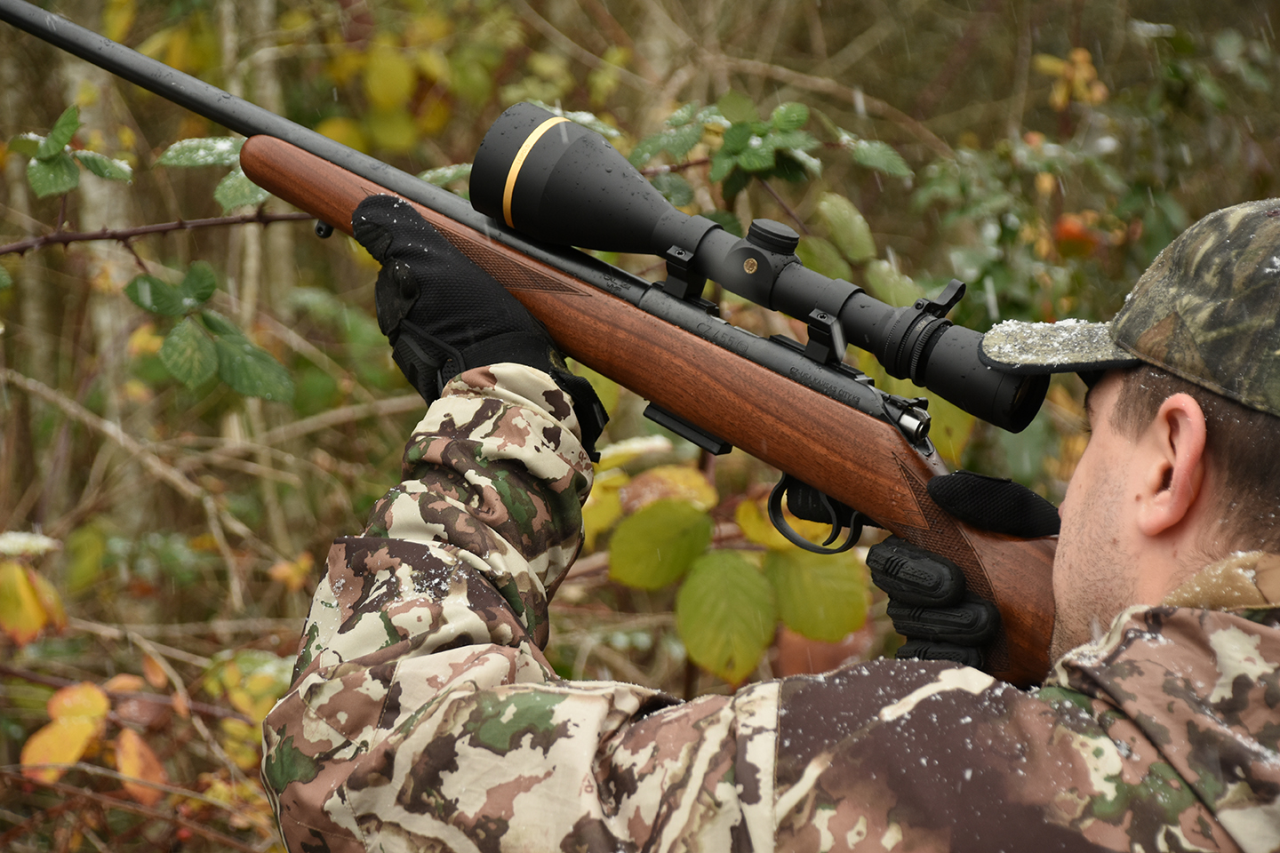 hunting squirrels with CZ455 Rimfire.