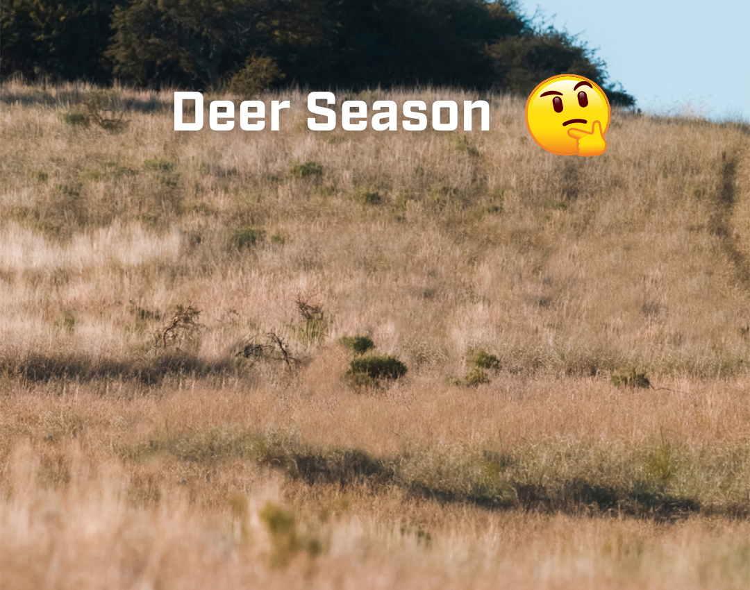 all the deer are gone