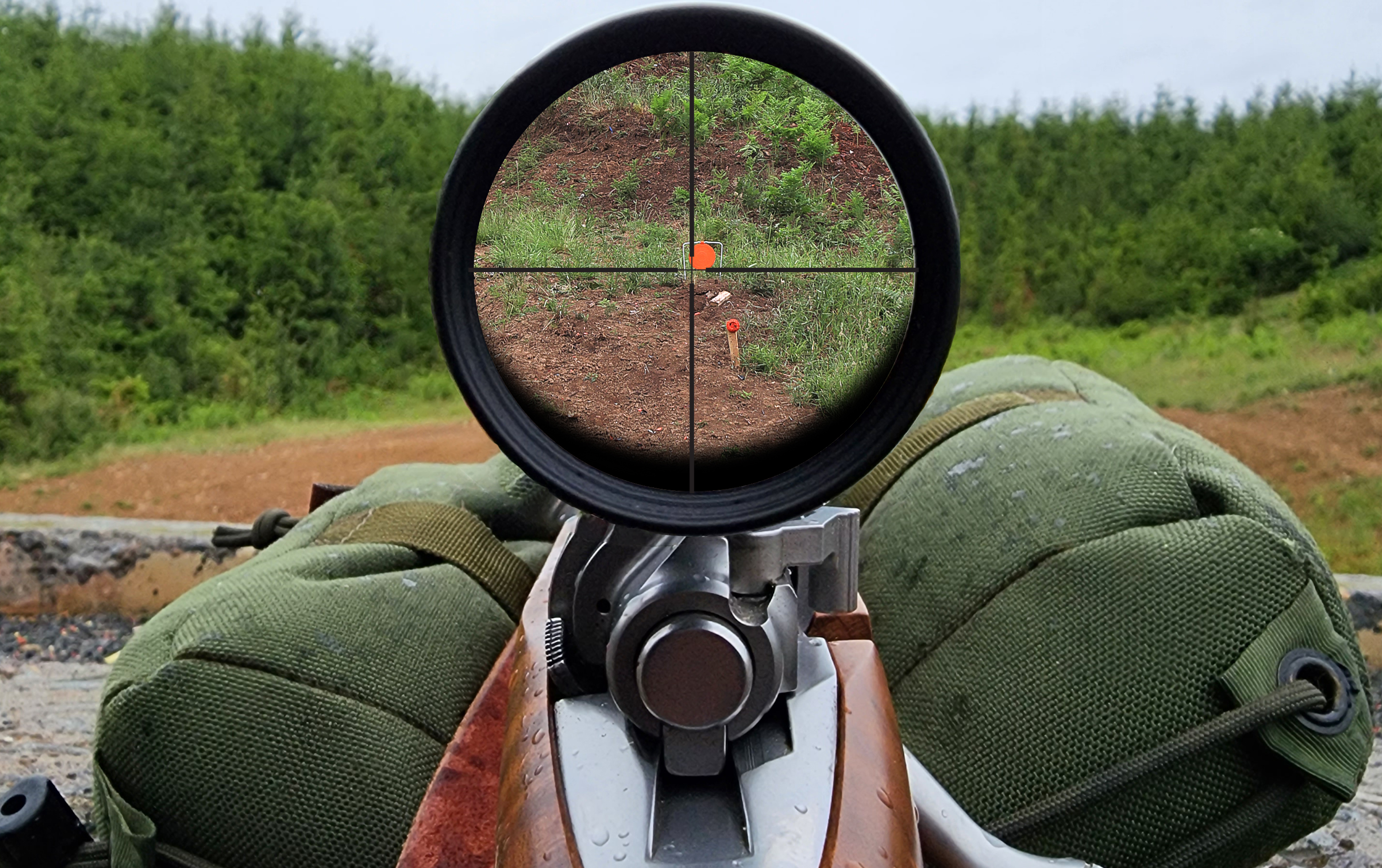 scope sitting too low for full sight picture