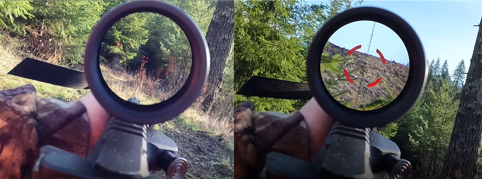 LPVO vs. Red Dot: Which is Best? - Warne Scope Mounts